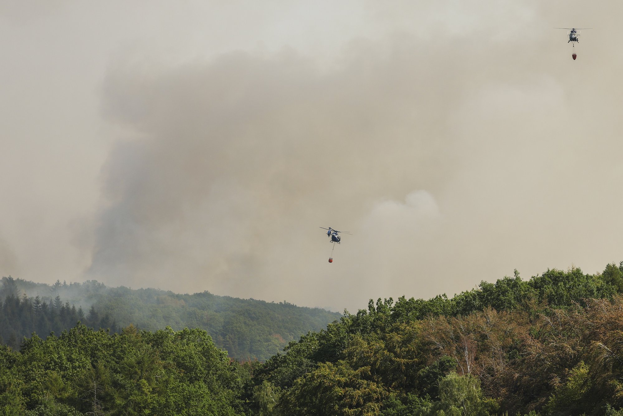 Belgium requests EU aid as massive forest fire spreads rapidly