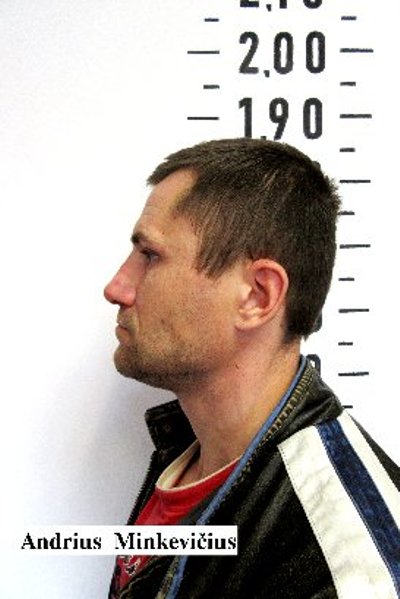 Andrius  Minkevičius