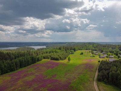 Gėlių pieva Šiliniškių kaime, įamžino Ieva Jakutytė