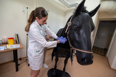 LSMU Veterinarinės medicinos simuliacijos centras