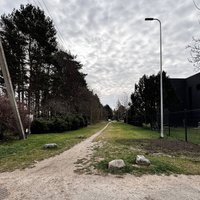 Prie Matijošaičio namų Vičiūnuose esančios gatvės detektyvas – pirmuosius signalus pradėjo siųsti gyventojai