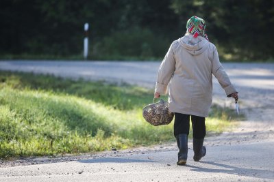 Sekmadienio rytą grybautojai patraukė į mišką