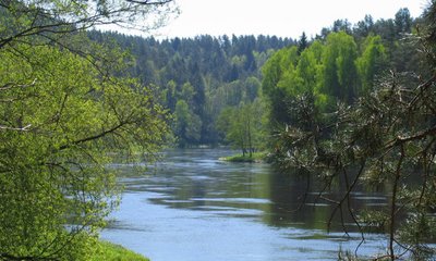 Karmazinų takas 