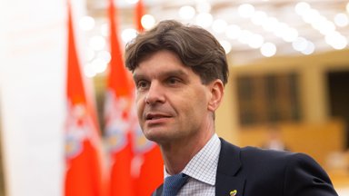 Seime – netikėtas posūkis dėl „čekutininkų“: Širinskienė sako, kad kaltas Vėgėlė