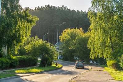 Bukčių miško parko takai