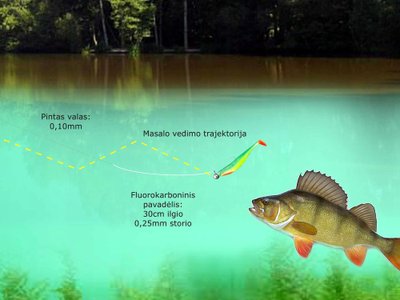 Schema. Ešerių žūklė viršutiniuose vandens sluoksniuose