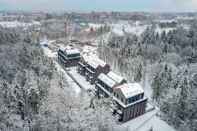 Miško ardų I etapas