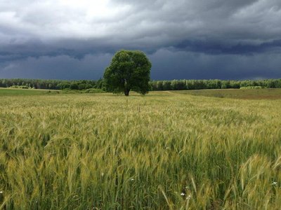 Dieveniškių regioninis parkas/ K. Cemnolonskio nuotr.