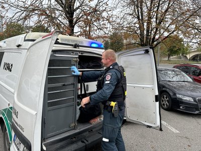 Girtas vairuotojas pridergė policijos automobilį