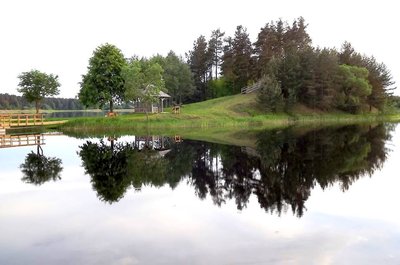 Žagarė/ J. Jurevičiaus nuotr.