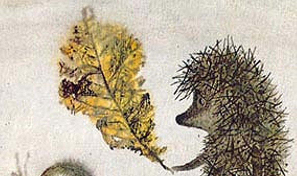 Bublikai rūke - Delfi