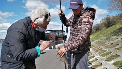 Meknių žūklė Nemune ties Kaunu