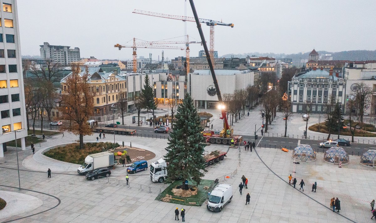 Kalėdų eglė atvežta į Vienybės aikštę