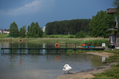 Salotės ežeras