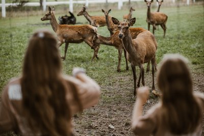 Indrišiūnų ūkis (Godos Kondrotaitės nuotr.)