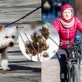 Sinoptikė pasidalino, kada sugrįš šiluma: jau galima planuoti savaitgalį 