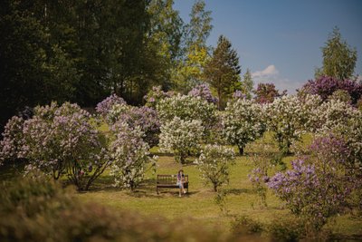 Delfi fotografų nuotraukos „Lietuvos spaudos fotografija 2025“ konkurse