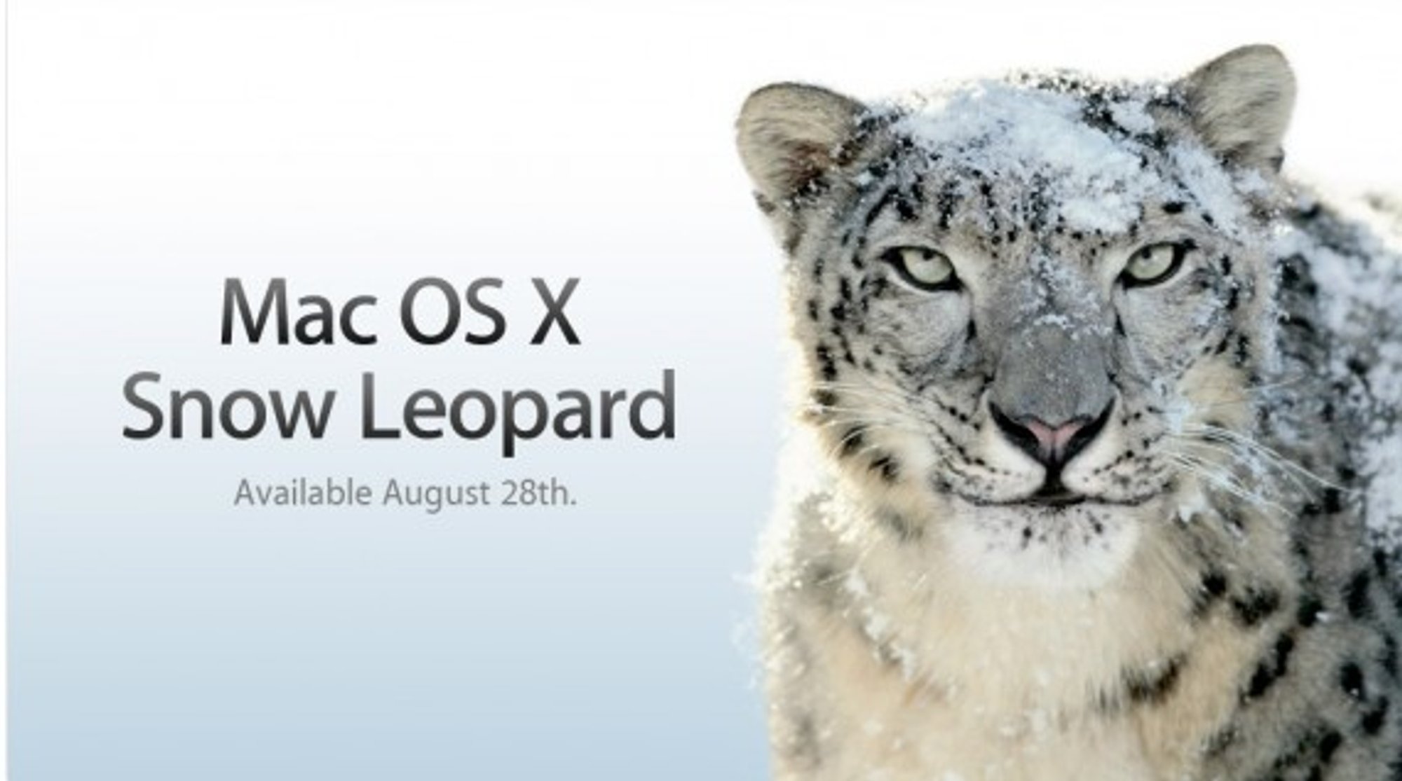 „Apple“ „leopardą” keičia „snieginis leopardas” - Delfi mokslas