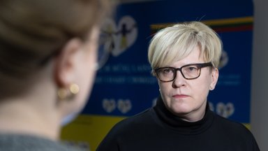 Šimonytė „Teltonikos“ įkūrėjo Paukščio insinuacijas vadina melu: apmaudu ir tiek