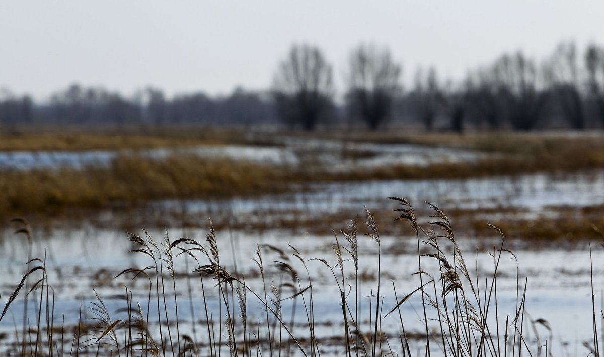 Nuo liūčių nukentėję Kauno rajono ūkininkai atleisti nuo žemės mokesčių ...