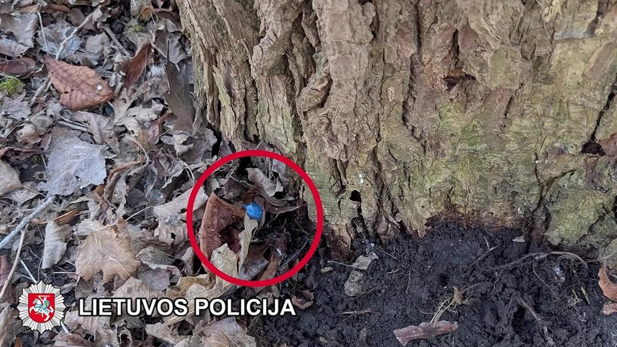 Klaipėda Police Uncover Drug Trafficking Ring