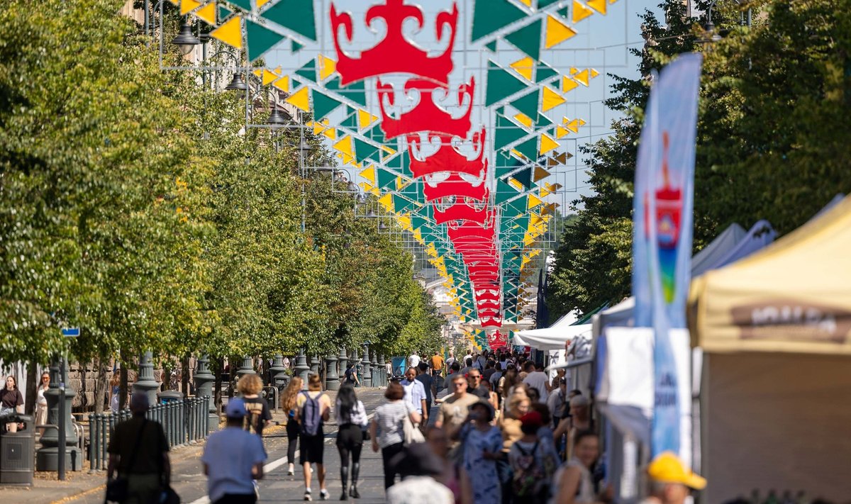 Vilniaus braškių festivalis