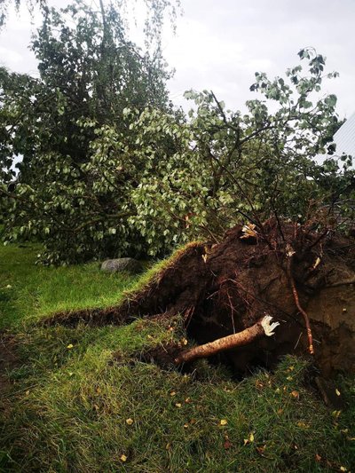 Kaišiadorių raj. audros padariniai. Nuotrauka iš Orų entuziastų puslapio