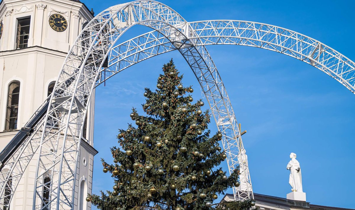 Vilniaus Kalėdų eglė įgijo formą – tapo žaisliuku