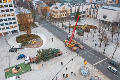 Kalėdų eglė atvežta į Vienybės aikštę