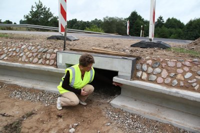 Veisiejų parke įrengta pralaida varlėms ir smulkiems gyvūnams po keliu. Stambesnieji gyvūnai į tokią landą lįsti bijotų 