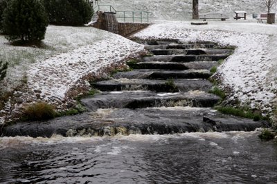 Viešvilės pažintinis takas