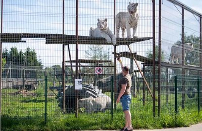 Klaipėdos zoologijos sodas