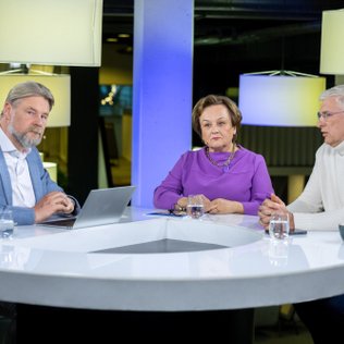 Verslo požiūris. Po atliktų auditų šokas ES 