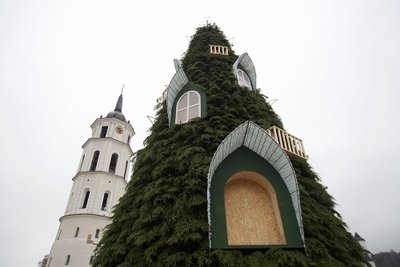 Kalėdų eglutė Vilniaus Katedros aikštėje