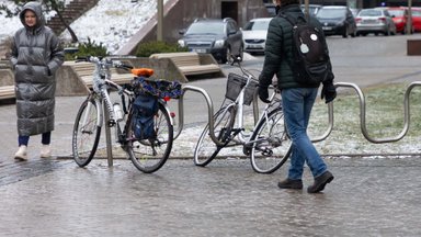 Gamta nesiliauja pokštauti: po grėsmingų dienų – kone ankstyvas pavasaris, kai sušils ir iki 8 laipsnių