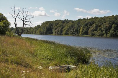 Užtvanka vasarą