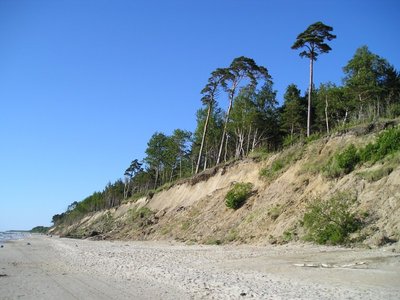 Olandų kepurės skardis