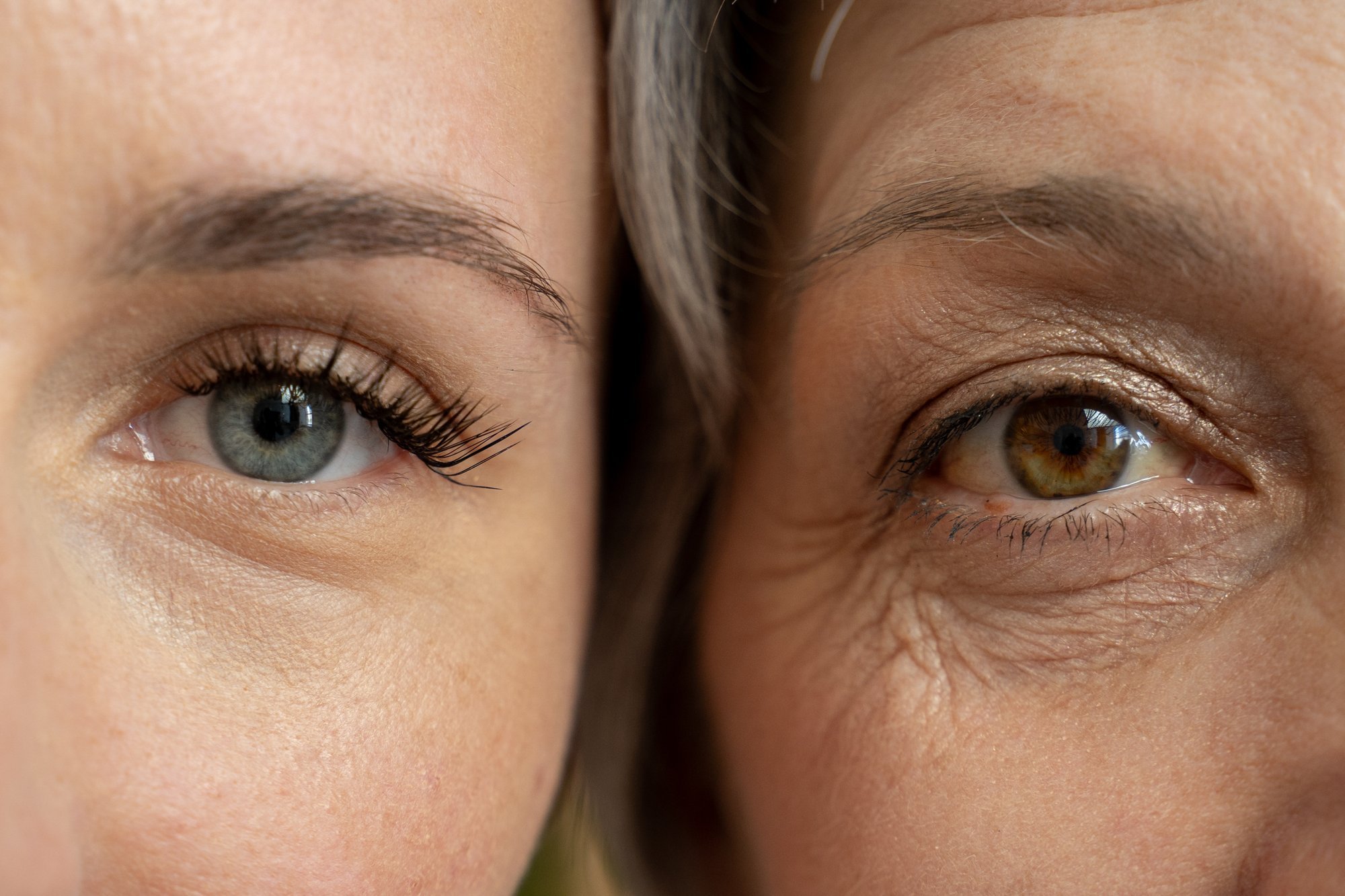Foods that slow aging identified in major study