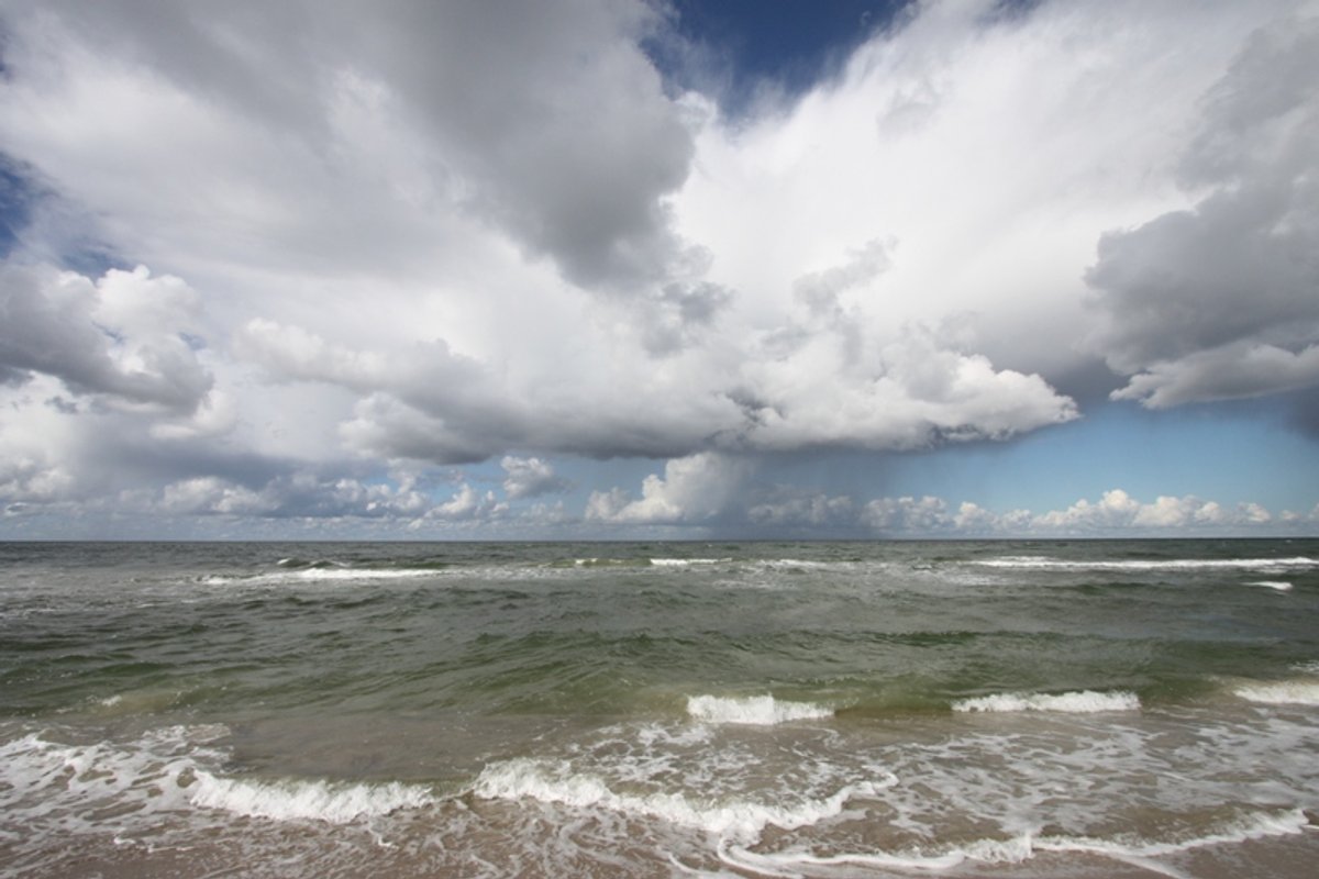 Baltic Delfi Media The Streaming Wars Arrive to Vilnius: Why Legacy Broadcasters Are Betting on Personality