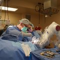 Lietuvis neurochirurgas JAV atliko unikalią operaciją: į nepažeistas smegenis implantavo neuronus