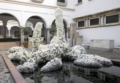 Tadas Černiauskas Kordoboje, festivalis "Flora 2023"   (Lauros M. Lombardķos nuotr.)