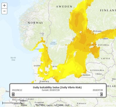 Vibrio bakterijų paplitimo žemėlapis