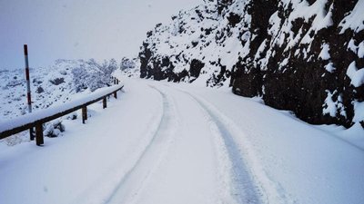 Tenerifė. Vidos Cechanavičienės nuotr.