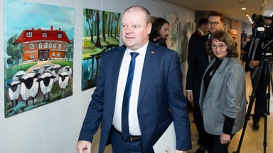 Skvernelis: tai, kas vyksta, visiškas chaosas