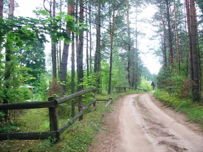 Dzūkijoje atsiradus meškų grybautojai negalėtų jaustis saugūs