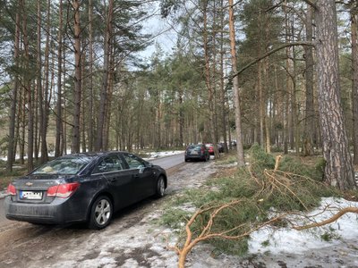 Žmonių minios gamtoje