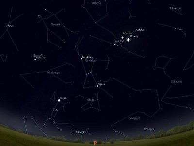 Pietinė žaigždėto dangus pusė sausio 21 d. 23 val. (piešinys sukurtas „Stellarium“ programa)