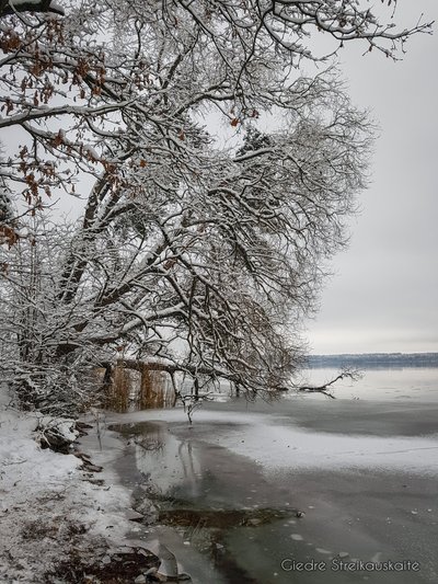 Gastilonių pažintiniame take (Giedrės Streikauskaitės nuotr.)