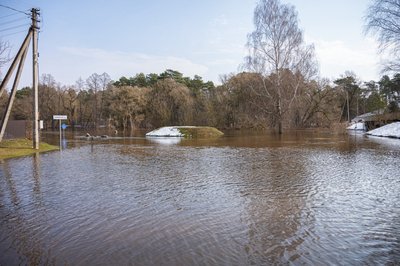 Išsiliejusios upės šiemet merkia pievas, tačiau gyventojų sodybų kol kas neskandina