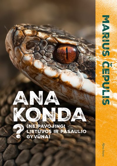 „Ana konda?“